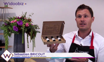 Back to business – Widoobiz : Sébastien Bricout